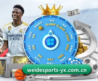 韦德体育 APP 深度功能